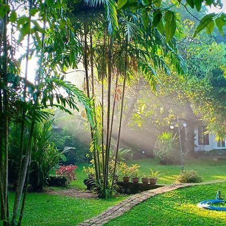 Mango House Japanese Guest House Negombo Exterior foto