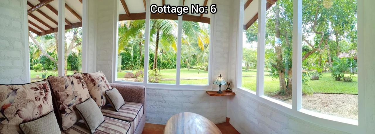 Mango House Japanese Guest House Negombo Exterior foto
