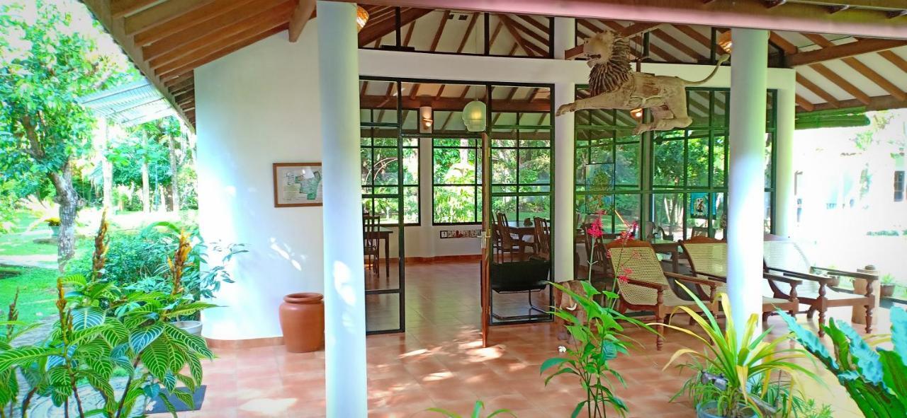 Mango House Japanese Guest House Negombo Exterior foto