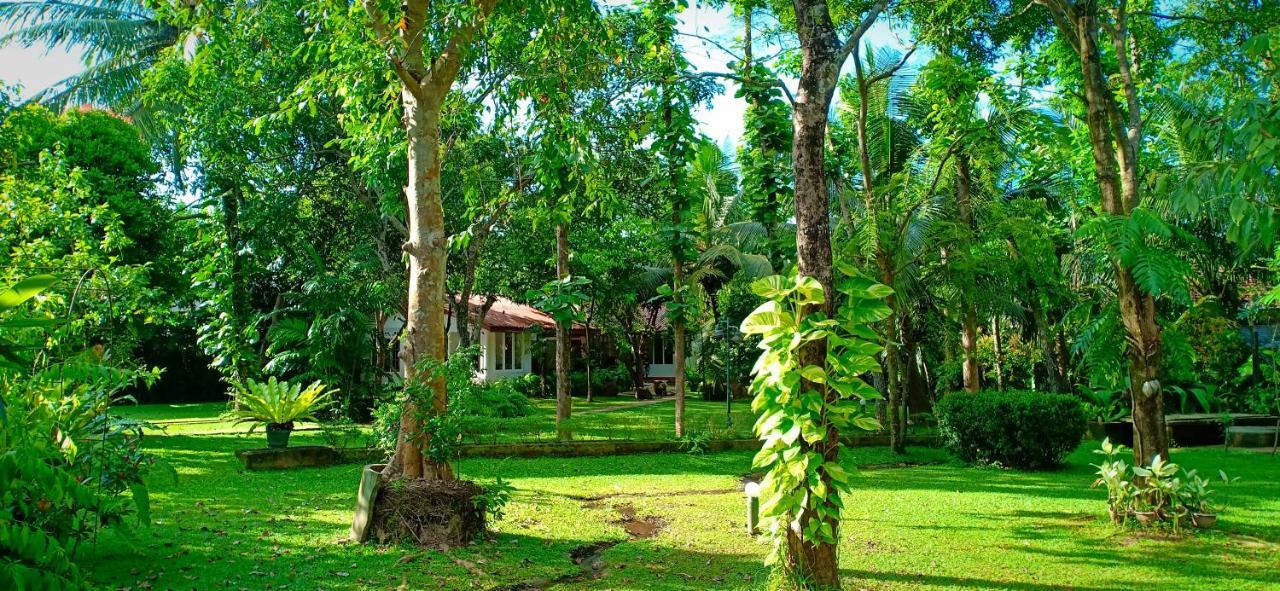 Mango House Japanese Guest House Negombo Exterior foto